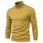 pull col roulé homme coton